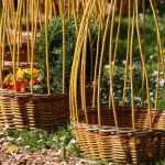 Come realizzare una cintura di salice intrecciato?