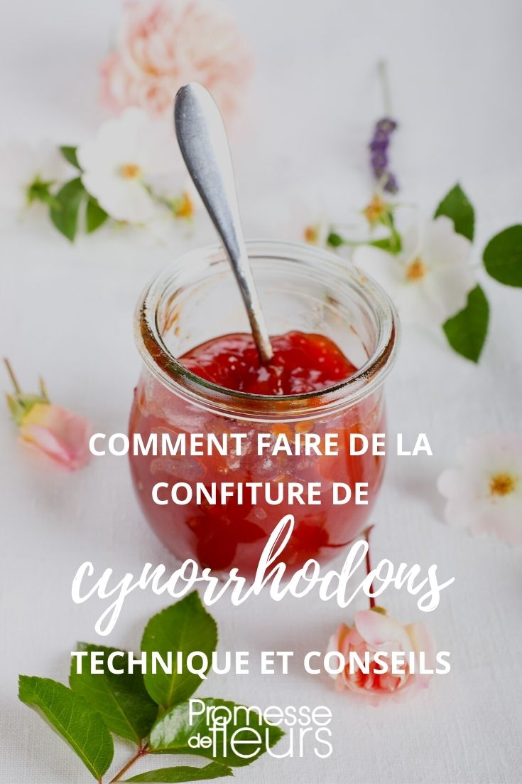 fare la marmellata di cinorrodi