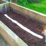 Come realizzare un nastro di semi?