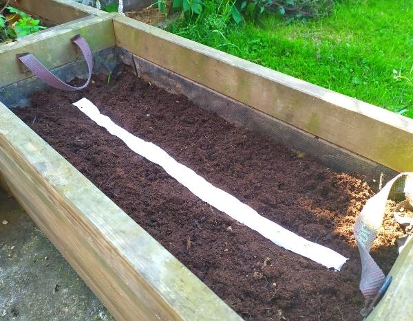 Come realizzare un nastro di semi?