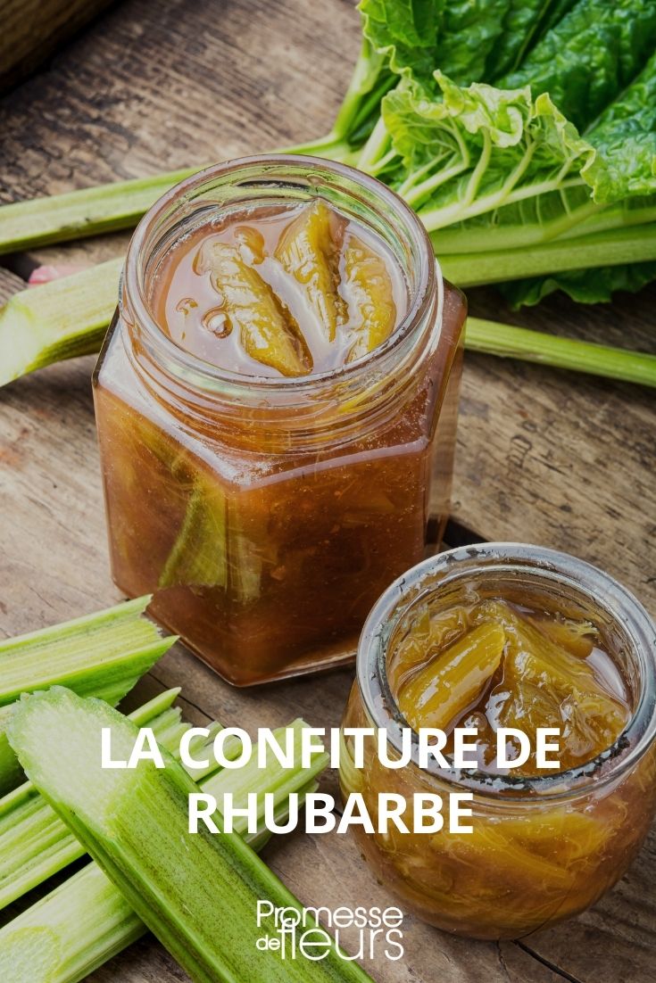 marmellata di rabarbaro
