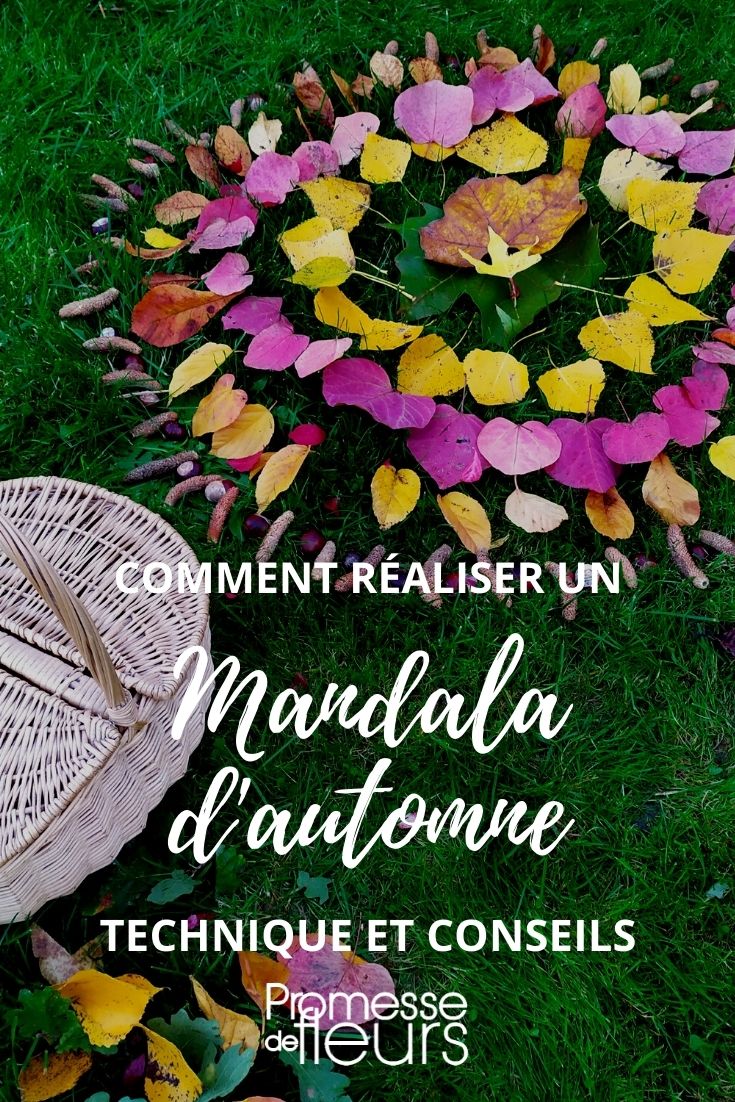 Tutorial autunnale per mandala