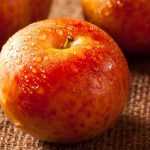Pluot: piantagione, coltivazione, raccolta